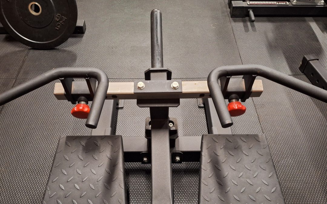 Effective back exercises